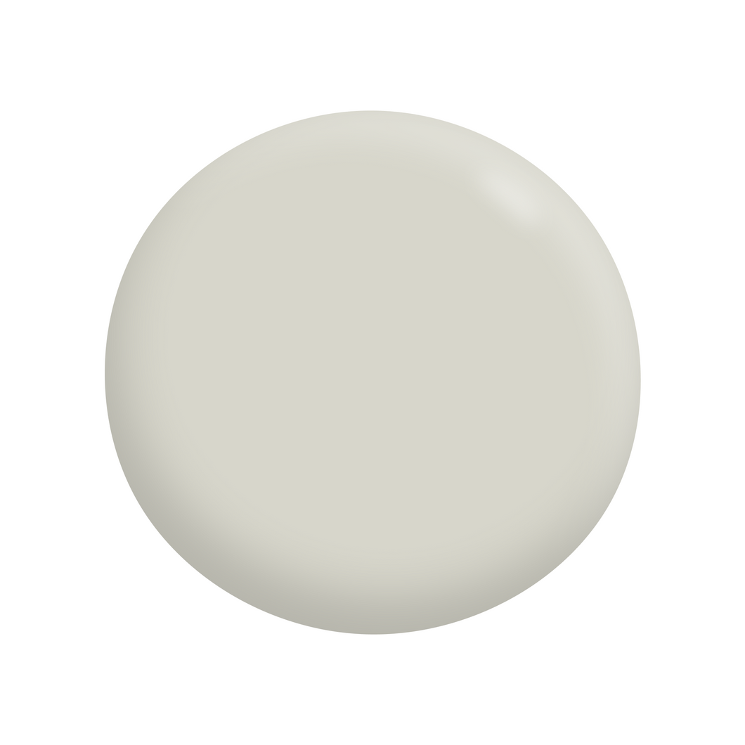 Colorbond® Surfmist® C1